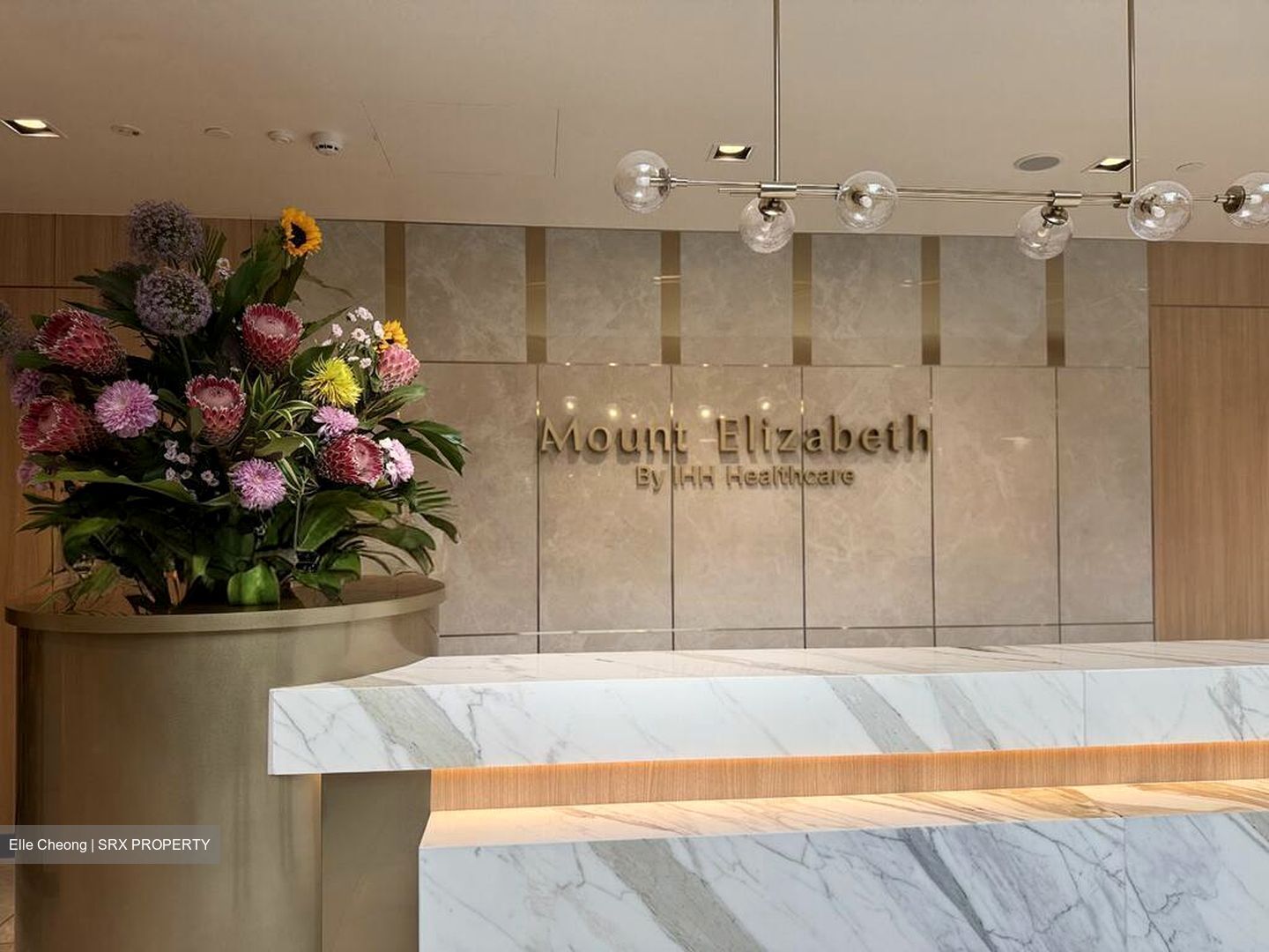 Mount Elizabeth Hospital (D9), Retail #592351671